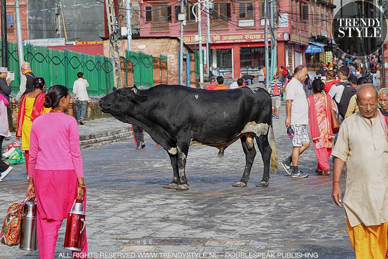 Kathmandu Nepal - Photo Charlotte Mesman